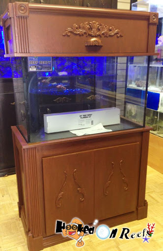 Tropical Fish Store «Hooked On Reefs», reviews and photos, 228 Hibiscus St #1, Jupiter, FL 33458, USA