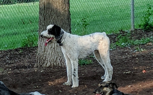 Dog Park «St. Anthony Parkway Off-Lease Dog Park», reviews and photos, 700 St Anthony Pkwy, Minneapolis, MN 55418, USA