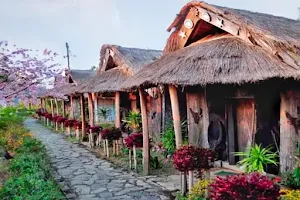 Tourist Village Tuophema(Ancient Heritage Village) - Kohima District, Nagaland, India image