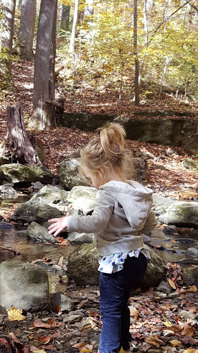 National Park «First State National Historical Park - Peters Rock Parking», reviews and photos, Thompsons Bridge Rd, Wilmington, DE 19803, USA