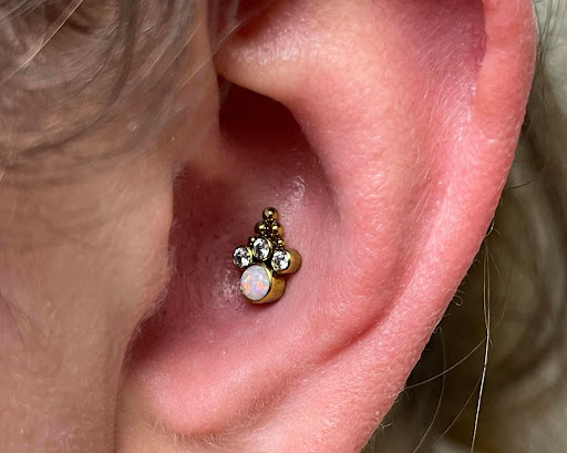 Tattoo Shop «Fight or Flight Tattoo», reviews and photos, 206 Summer St, Fitchburg, MA 01420, USA