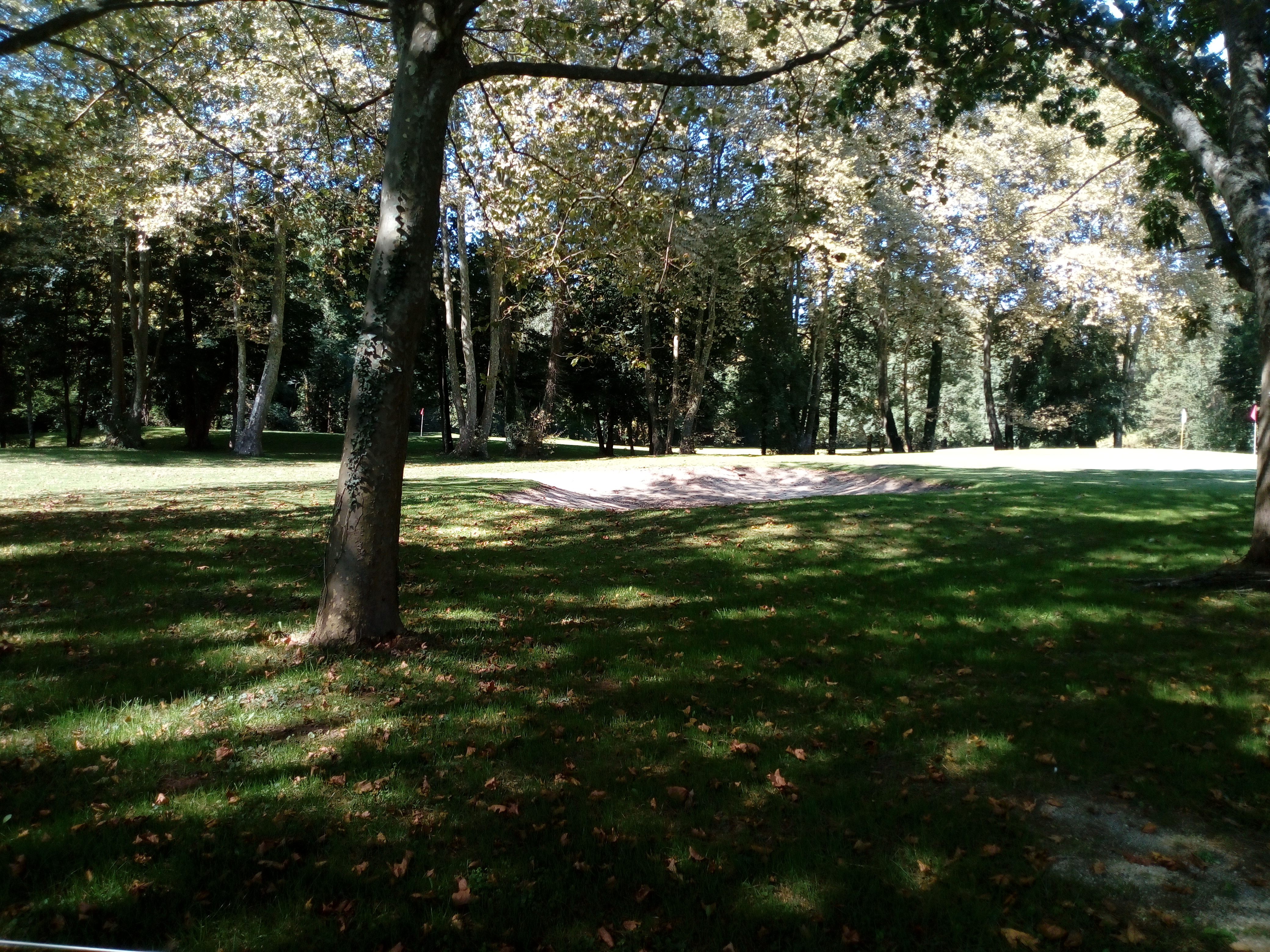 Photo n° 19 de l'avis de Delbart.e fait le 29/09/2019 à 12:17