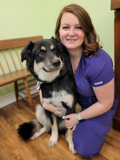 Queen Street Veterinary Services image