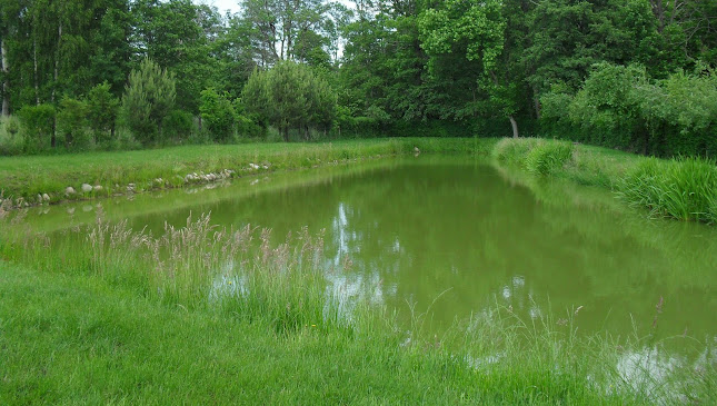 Comentarii opinii despre WGN NIERUCHOMOŚCI GŁOGÓW