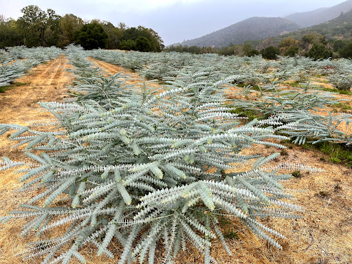 Farm «Oak Hill Farm», reviews and photos, 15101 CA-12, Glen Ellen, CA 95442, USA