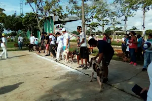 Unidad Deportiva "Nazur", Balancan image