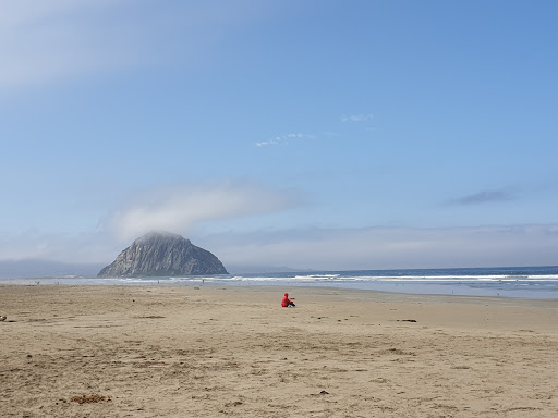 Morro Strand State Beach Campground