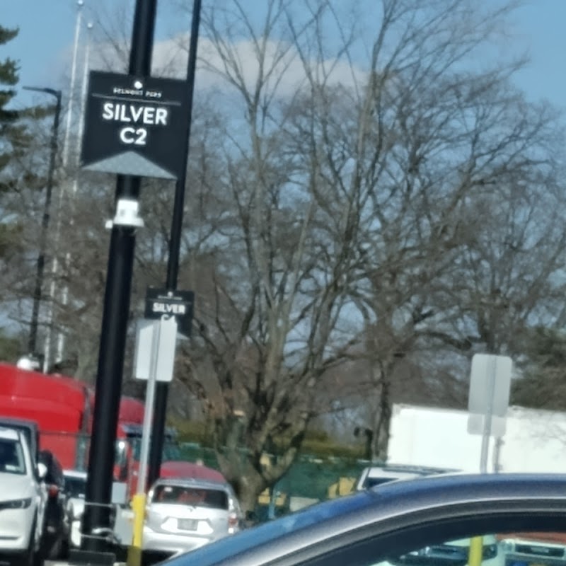 Silver Parking