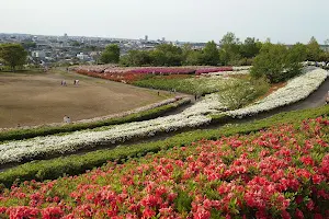 Daijoji Kyuryo Park image