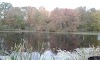 Sunny Waters Mobile Home Park