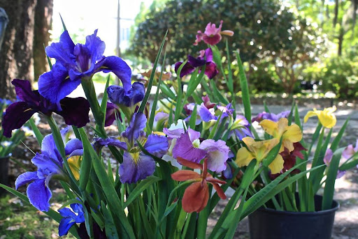 Florist «Flowers By Karen», reviews and photos, 3074 Government St, Ocean Springs, MS 39564, USA