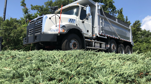 Ford Dealer «Gabrielli Ford Truck Sales and Service», reviews and photos, 3200 Horseblock Road, Medford, NY 11763, USA