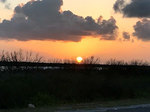 Galveston Island State Park Nature Center - photo 52