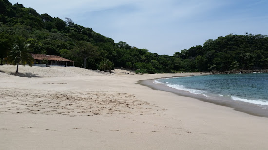 辛科海滩