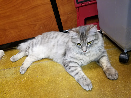 Pet Supply Store «PetSmart», reviews and photos, 2730 Pacific Coast Hwy, Torrance, CA 90505, USA