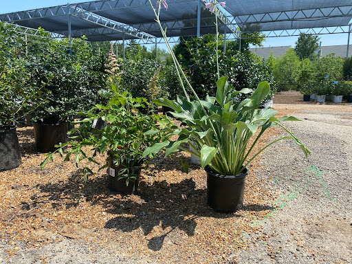 Landscaping Supply Store «Kirkwood Gardens», reviews and photos, 2701 Barrett Station Rd, Ballwin, MO 63021, USA