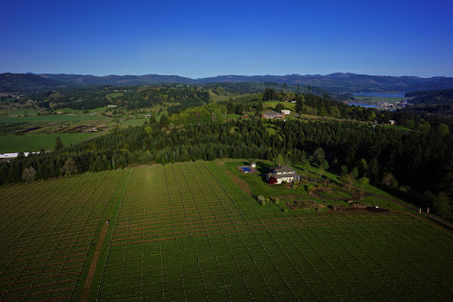 Winery «Patton Valley Vineyard», reviews and photos, 9449 SW Old Highway 47, Gaston, OR 97119, USA