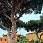 Photo n°1 de l'avis de Olga.. fait le 11/05/2024 à 05:21 sur le  Pizzeria La Corte à Castiglione della Pescaia