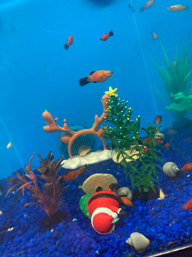 Pet Supply Store «PetSmart», reviews and photos, 2389 Taylor Park Dr, Reynoldsburg, OH 43068, USA