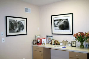 MountainView Veterinary Hospital image