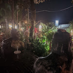 Photo n°6 de l'avis de Gio.. fait le 16/03/2022 à 20:26 sur le  Wunderkammer à Castel Gandolfo