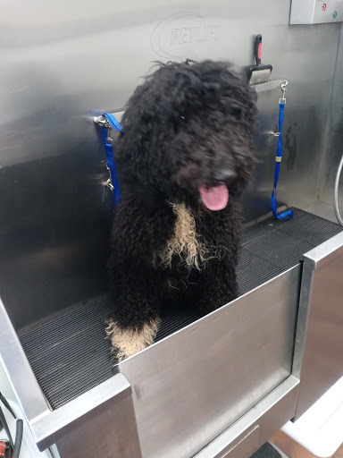 Pet Groomer «U Dirty Dog», reviews and photos, 232 Stevens Entry, Peachtree City, GA 30269, USA