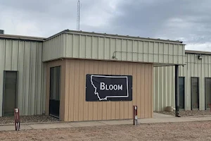 Bloom Weed Dispensary Sidney image