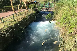 Chuyin Riverbank Ecology Park image