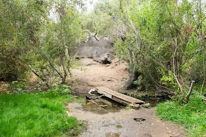 Oak Riparian Park image
