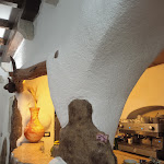 Photo n°11 de l'avis de Francesco.n fait le 26/12/2023 à 15:28 sur le  I Nanetti Di Casula Domenica à Olbia