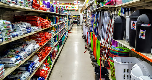 Discount Store «Discount City», reviews and photos, 1440 Webster St, Alameda, CA 94501, USA