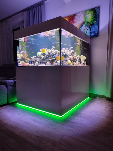 Meerwasser Aquaristik Schneider unter Altenbeken, 