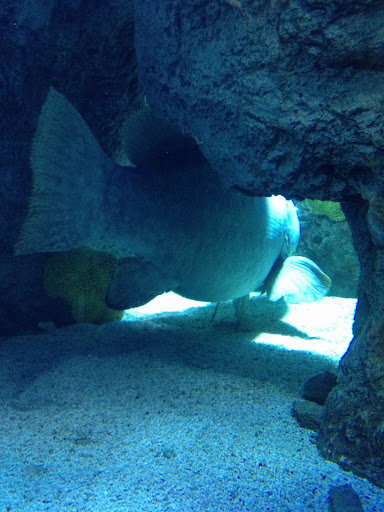 Park «Fishback Park», reviews and photos, 818 Water St, Denver, CO 80211, USA