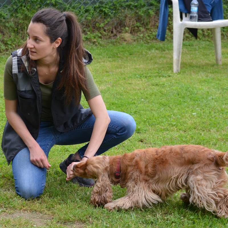 Chiara Dog Trainer - Educazione e addestramento cani a domicilio - Genova e dintorni