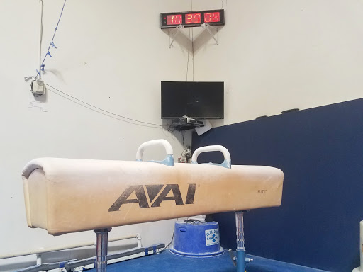 Gymnastics Center «Southlake Gymnastics Academy», reviews and photos, 280 Commerce St, Southlake, TX 76092, USA