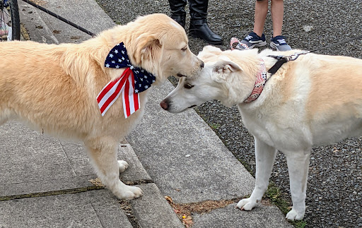 Community Center «Downtown Issaquah Association - Main Street Issaquah», reviews and photos, 232 Front St N, Issaquah, WA 98027, USA