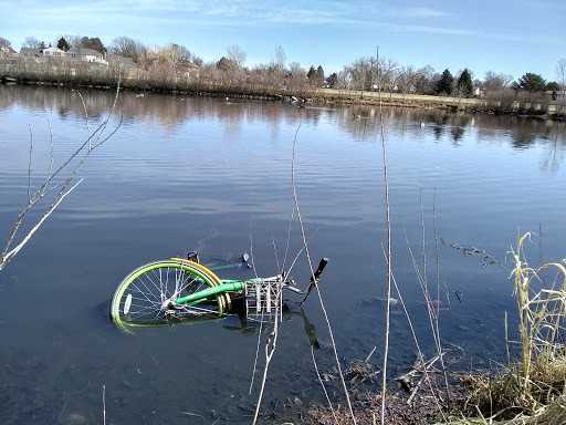 Park «Expo Park», reviews and photos, 10955 E Exposition Ave, Aurora, CO 80012, USA