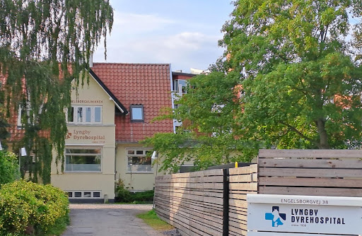 Lyngby Dyrehospital I / S in Lyngby, Lyngby-Taarbæk