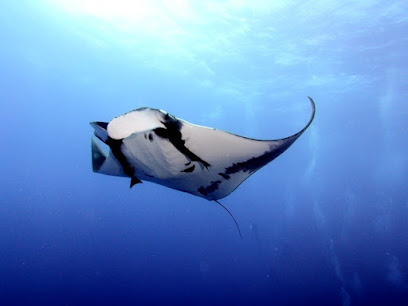 Sea Dragon Dive Center, Khao Lak