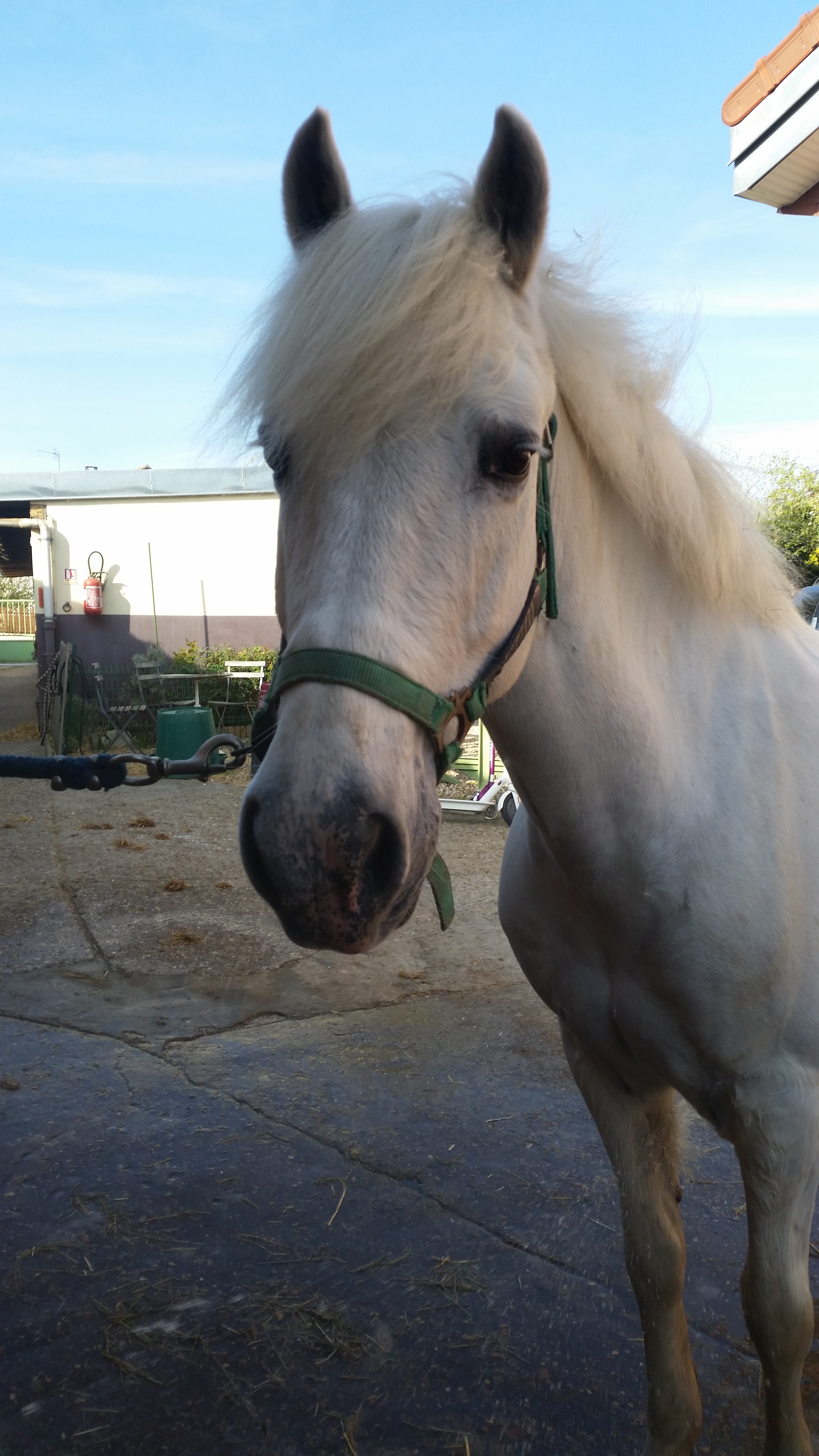 Photo n° 14 de l'avis de Helena.a fait le 17/05/2018 à 06:13