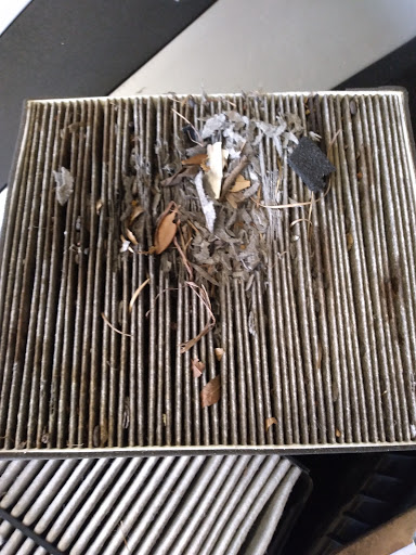 Auto Repair Shop «Precision Tune Auto Care», reviews and photos, 15750 Farm to Market Rd 529, Houston, TX 77095, USA