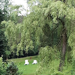 Photo n°1 de l'avis de Drei.e fait le 09/07/2020 à 08:01 sur le  Zur Burg Sternberg à Extertal