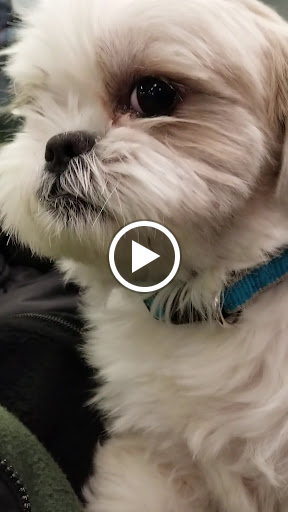 Used Car Dealer «Richard Catena Auto Wholesalers», reviews and photos, 430 Industrial Ave, Teterboro, NJ 07608, USA