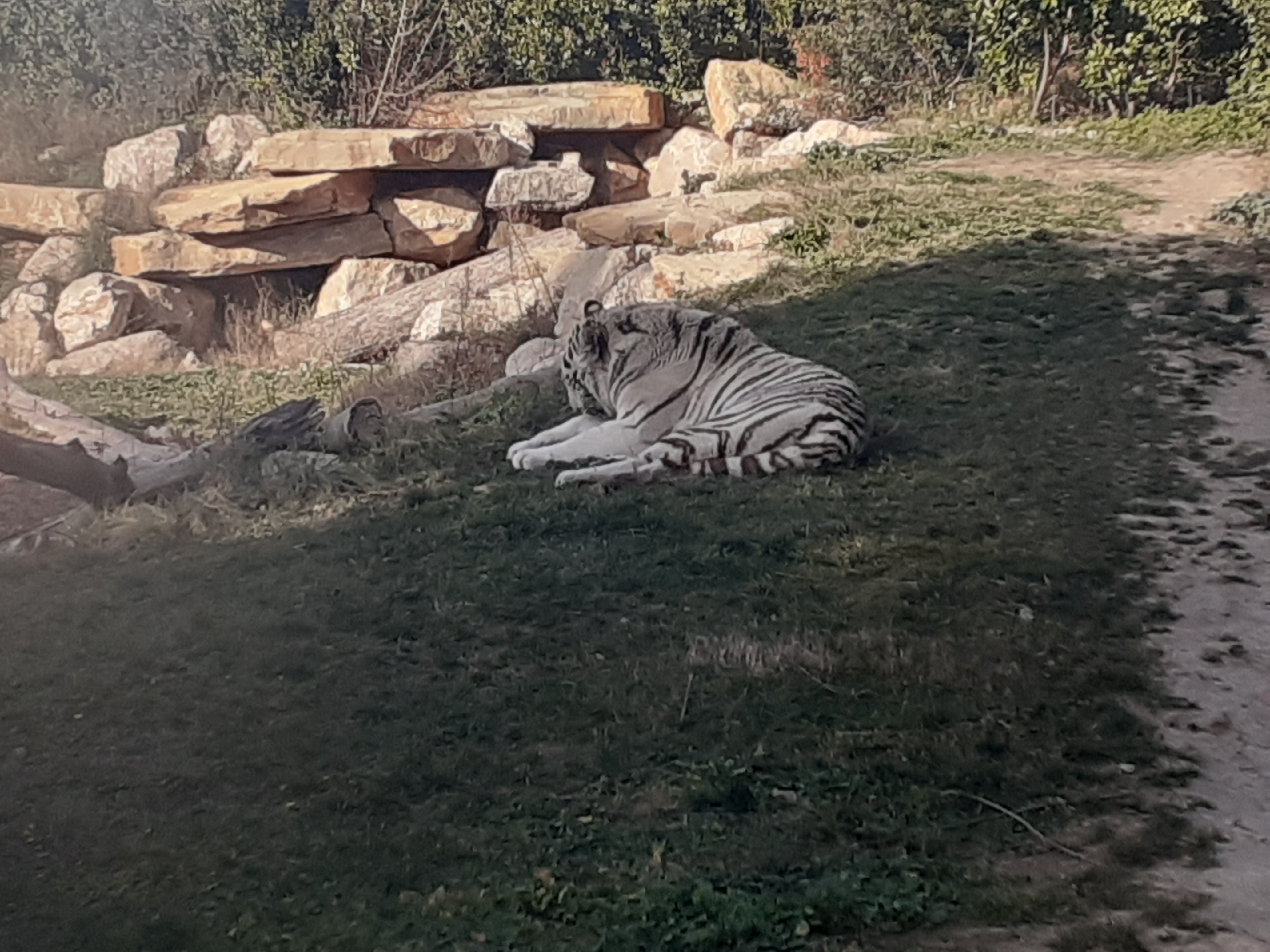 Photo n° 15 de l'avis de Abdelhamid.L fait le 22/02/2024 à 20:52