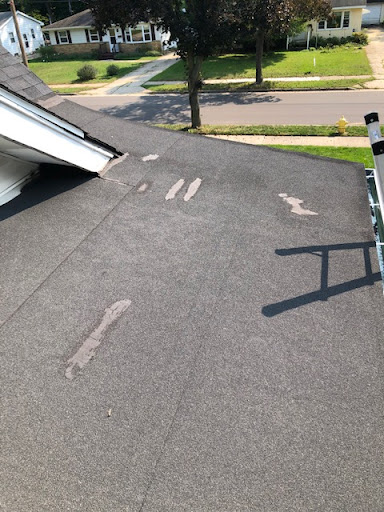 Roofing Contractor «Mr. Roof of Grand Rapids», reviews and photos