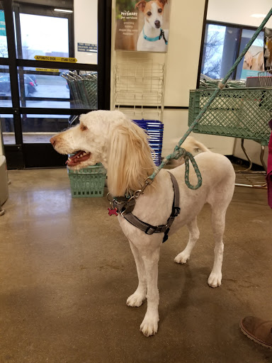 Pet Supply Store «PetSmart», reviews and photos, 2216 E Springs Dr, Madison, WI 53704, USA