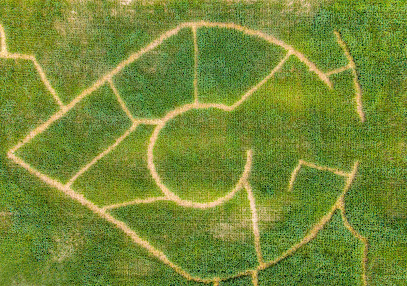 Kukurūzų labirintas