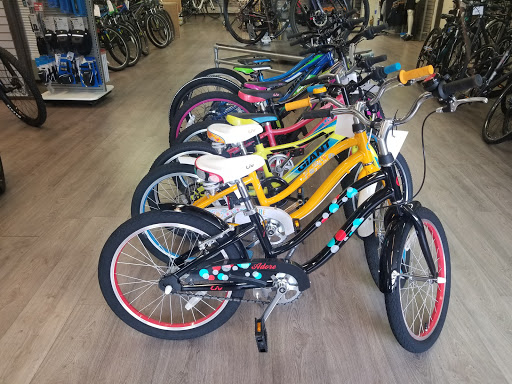 Bicycle Store «Mountain Road Cycles», reviews and photos, 100 Industrial Pkwy, Chagrin Falls, OH 44022, USA