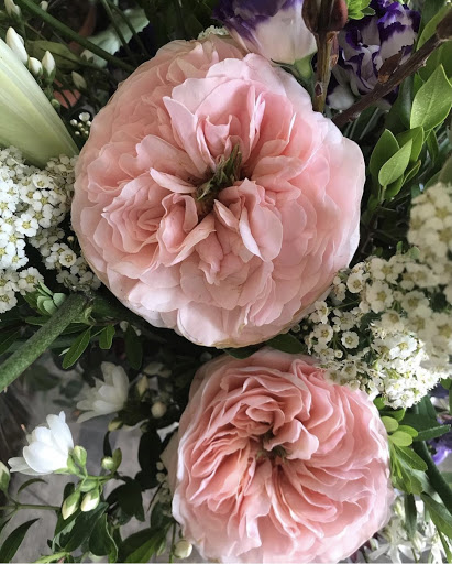 Florist «Halsted Flowers, LLC», reviews and photos, 2725 N Halsted St, Chicago, IL 60614, USA