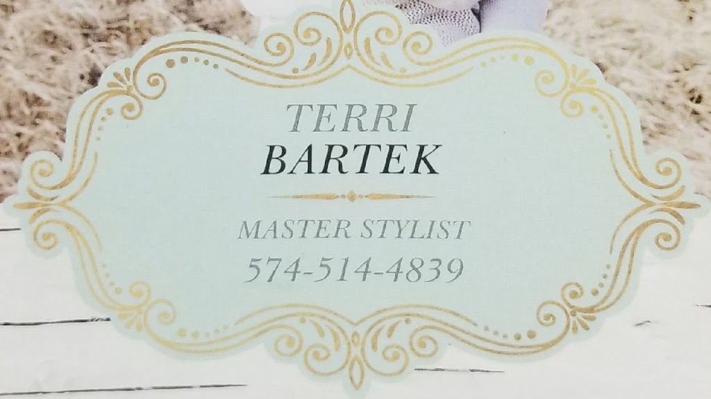 Terri Bartek-Circa 95 Hair Studio 46530